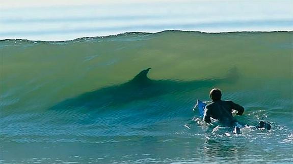 Drones contra tiburones