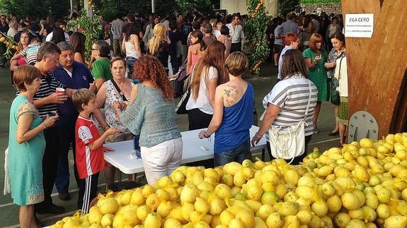 Los limones de Novales vuelven a dar trabajo
