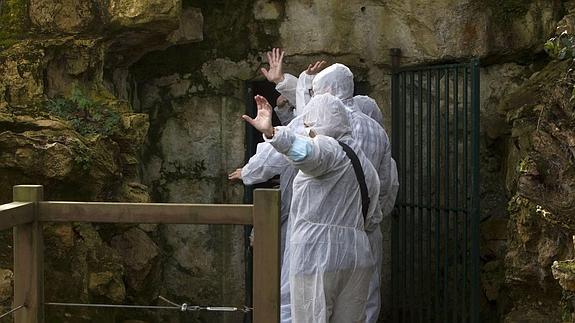 Revilla se muestra en contra de subastar las entradas a la cueva de Altamira