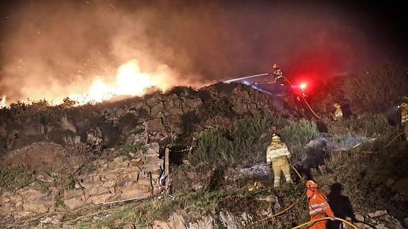 La Fundación Oso Pardo pide «castigos ejemplares» para los autores de los incendios