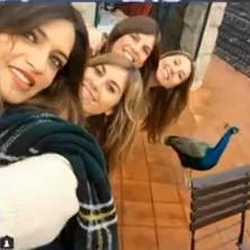 Carbonero, anfitriona en Oporto