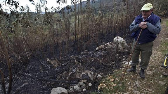 Los incendios de diciembre dejaron 10.000 hectáreas quemadas