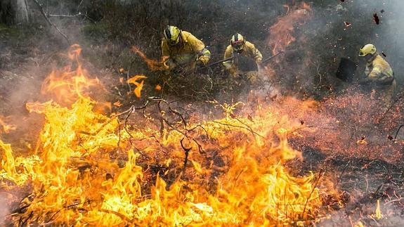 CC OO alerta de la falta de medios en la lucha contra los incendios forestales en Cantabria