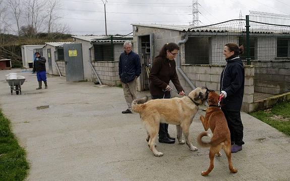 Ganadería mantendrá la mesa contra el maltrato animal, pero con cambios