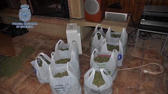 La Policía Nacional desmantela una plantación de marihuana 'indoor' en Castro Urdiales