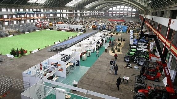 El Mercado Nacional de Ganados albergará una pista de atletismo