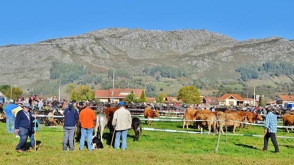 Un monte Dobra sin canteras