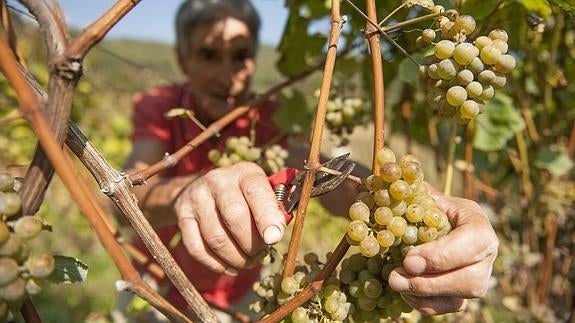 De más a menos: un repaso a la graduación de las bebidas