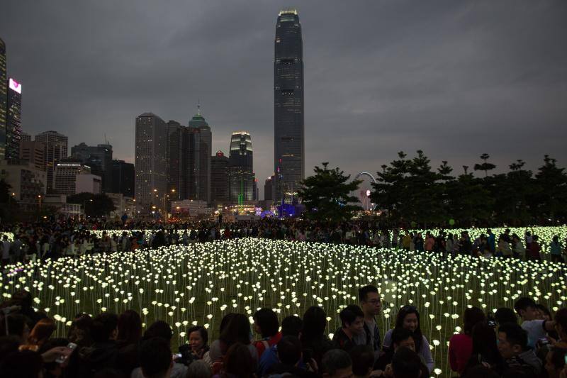 Rosas luminosas en Hong Kong