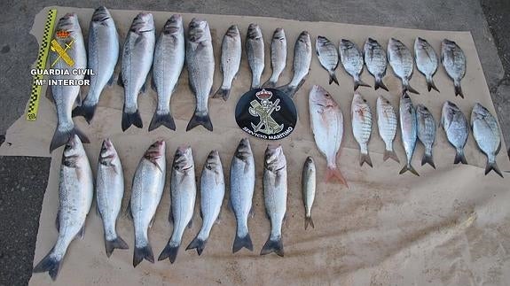 La Guardia Civil interviene 21 kilos de pesca a tres furtivos