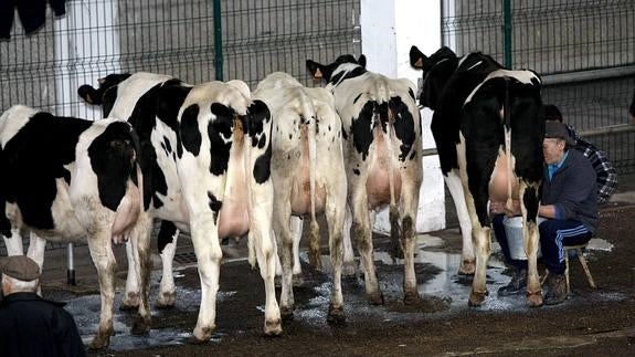 El Gobierno se compromete a pagar la ayuda europea por la leche en este mes de marzo