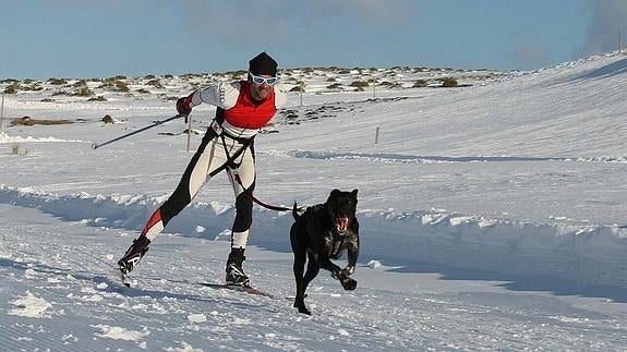 Gutiérrez Cuevas, campeón de España de skijoring