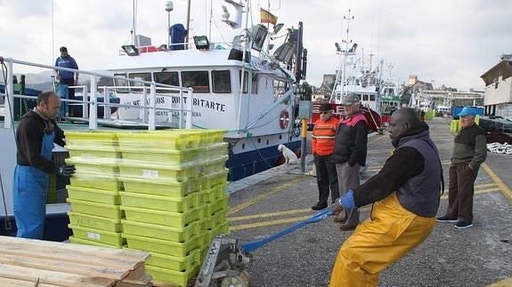 El bocarte y el verdel avivan la actividad en el puerto de San Vicente