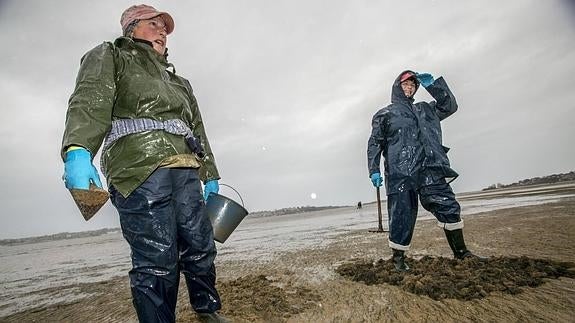 Cantabria veda los bancos marisqueros de Santander y Santoña por la repoblación de almeja