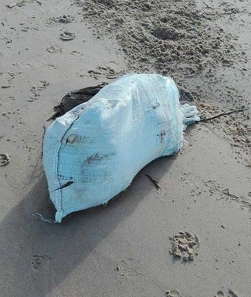 Aparecen restos de perros muertos y envueltos en bolsas en la playa Bikinis