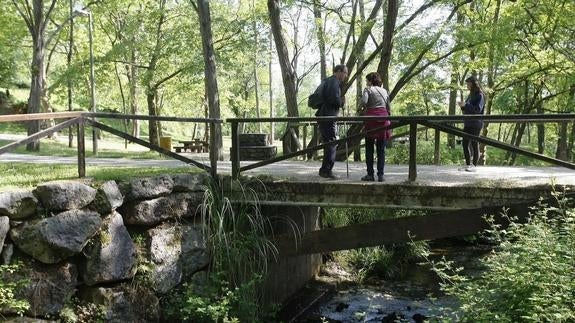 Torrelavega celebrará el Día Mundial del Medio Ambiente en La Viesca