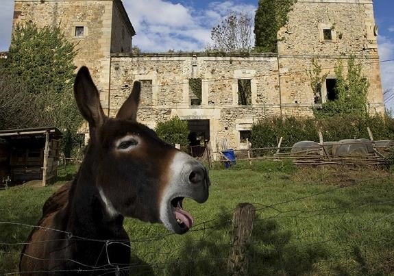 Las 23 razones por las que Cantabria se pone colorada
