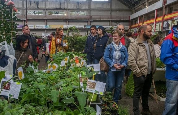 Un invernadero en el Ferial