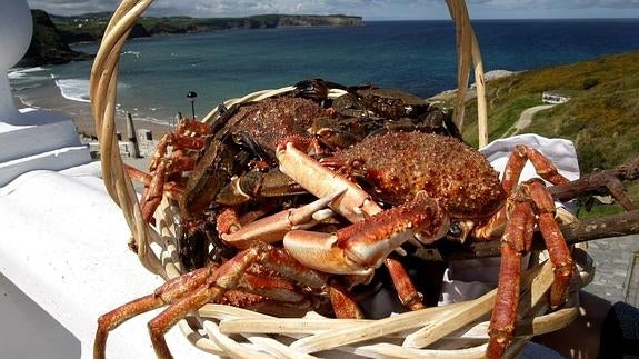 El marisco atraca en Suances