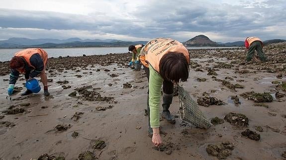 La 'marea roja' se extiende por toda la costa cántabra