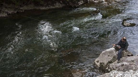 Noventa cañas en busca del 'campanu'