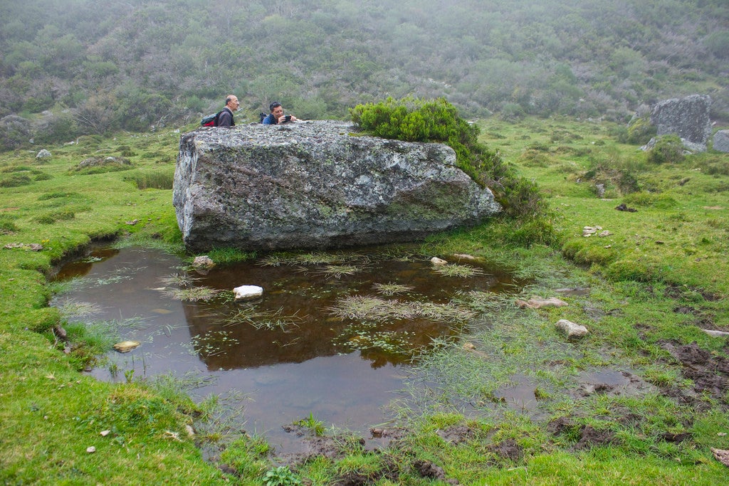 Visita los glaciares campurrianos