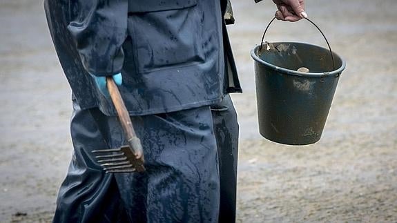 Publicada la orden de marisqueo para la próxima temporada