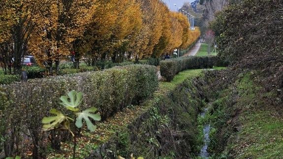 Torrelavega inicia las visitas guiadas a su "museo natural al aire libre"