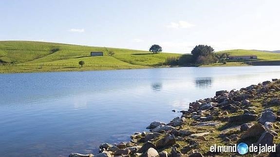 El embalse de El Juncal, un lago artificial lleno de vida