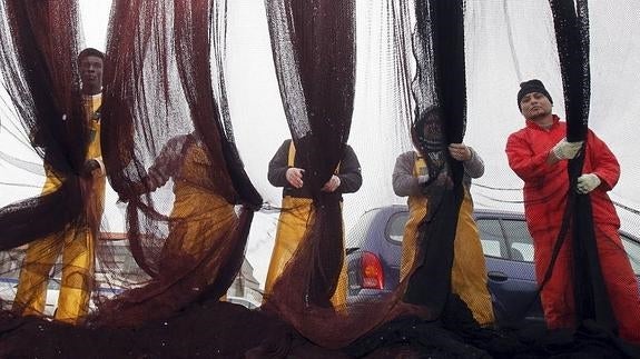 Los lunes no se pesca anchoa