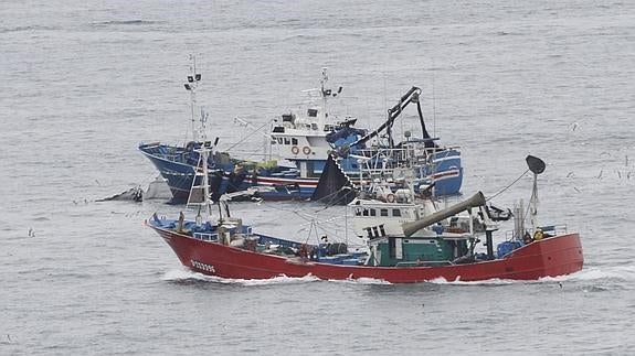 Balance "agridulce" entre los pescadores por la venta y la duración del verdel y el bocarte