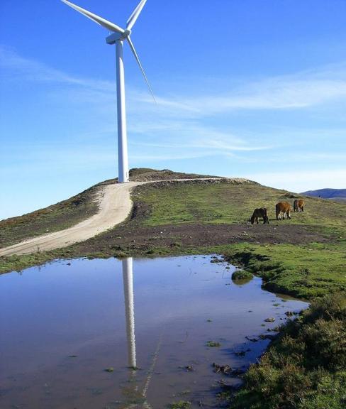 La Plataforma en Defensa del Sur se querella contra el consejero de Industria por la tramitación eólica