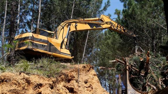 Un informe revela que hay concentración de metales pesados en el campo de golf