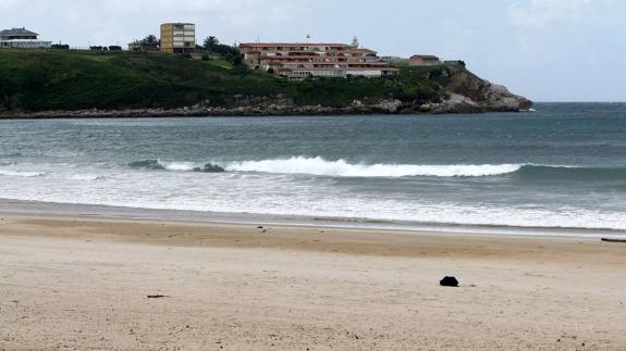 La duna de la playa de La Concha acogerá el domingo una acción de voluntariado ambiental