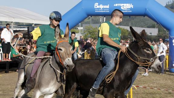 Tanos mantiene la carrera de burros en el programa de fiestas