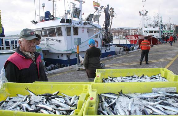 El puerto de San Vicente recibe más pescado e ingresos que el pasado año