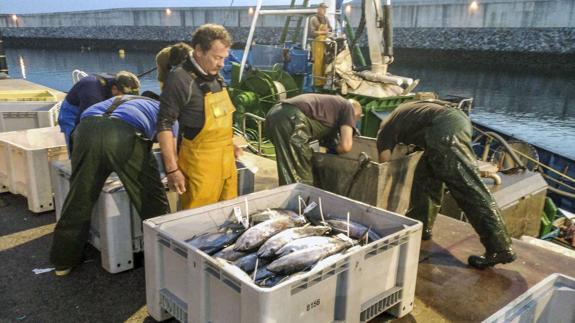 Cae un 45,4% la pesca subastada en los puertos cántabros y su valor se desploma