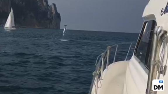 Los delfines regalan acrobacias en Santoña