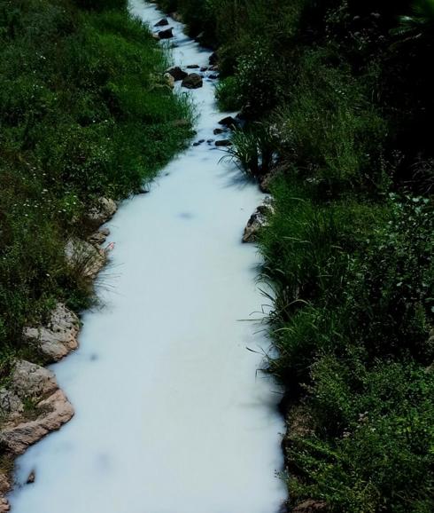 Piélagos investiga un vertido lácteo en el río Carrimón