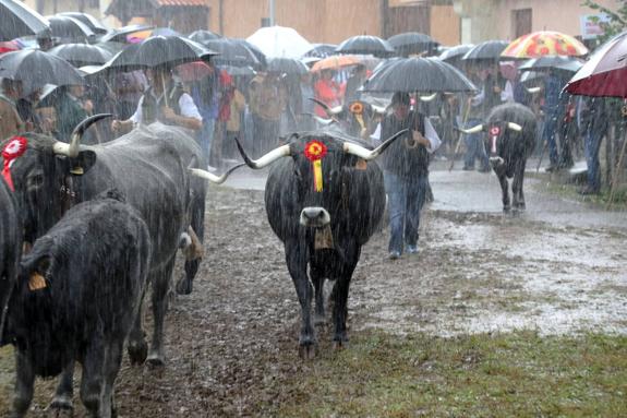 Cantabria, sin Olimpiada del Tudanco