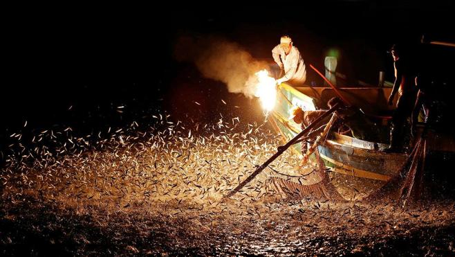 La pesca deslumbrante de Taiwán