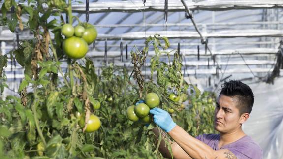 Cantabria quiere savia nueva para sus campos