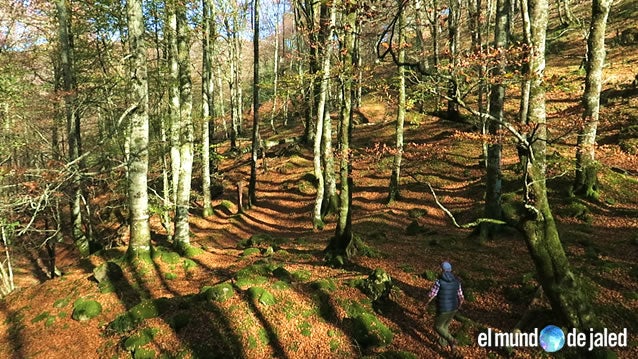 Rincones de Cantabria para empezar el otoño