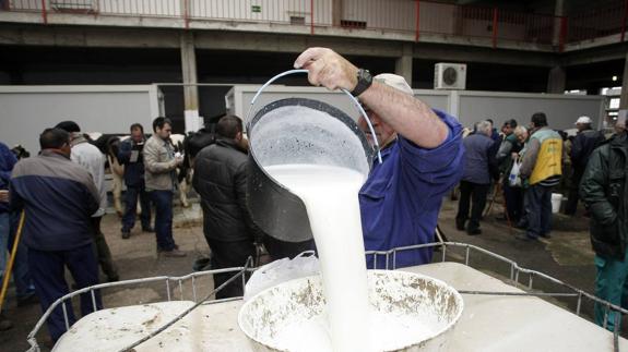 138 ganaderos cántabros piden la ayuda europea para reducir su producción de leche