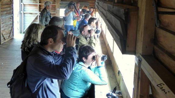 Novecientas personas participan en el Festival de la Migración de las Aves de Santoña