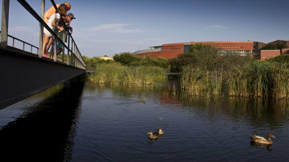 El Día Mundial de las Aves se celebra este viernes en Las Llamas