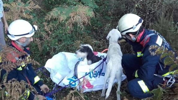 Rescatados dos perros después de un mes atrapados en una sima de Tama