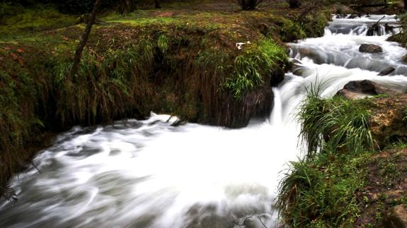 Cantabria declara La Viesca 'Área de Especial Interés Natural'