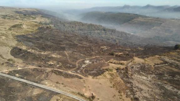 El fuego arrasa 250 hectáreas en Ruerrero