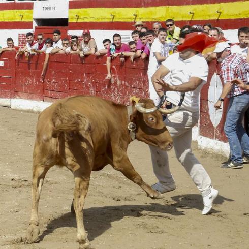 El organizador de los festejos taurinos de Ampuero, denunciado por exceso de aforo